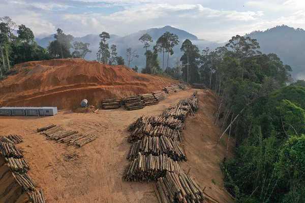 Log landing in Asian rainforest indicative of deforestion in Indonesia