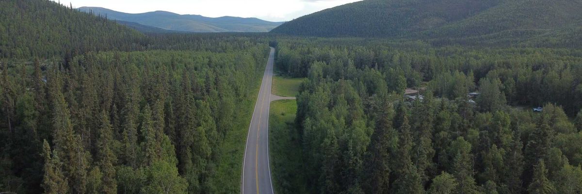 Long highway through a dense forest landscape
