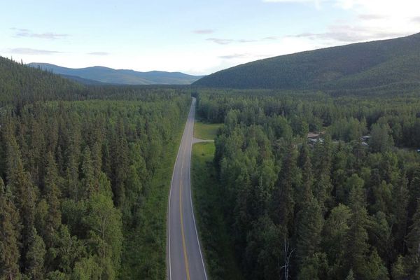 Long highway through a dense forest landscape