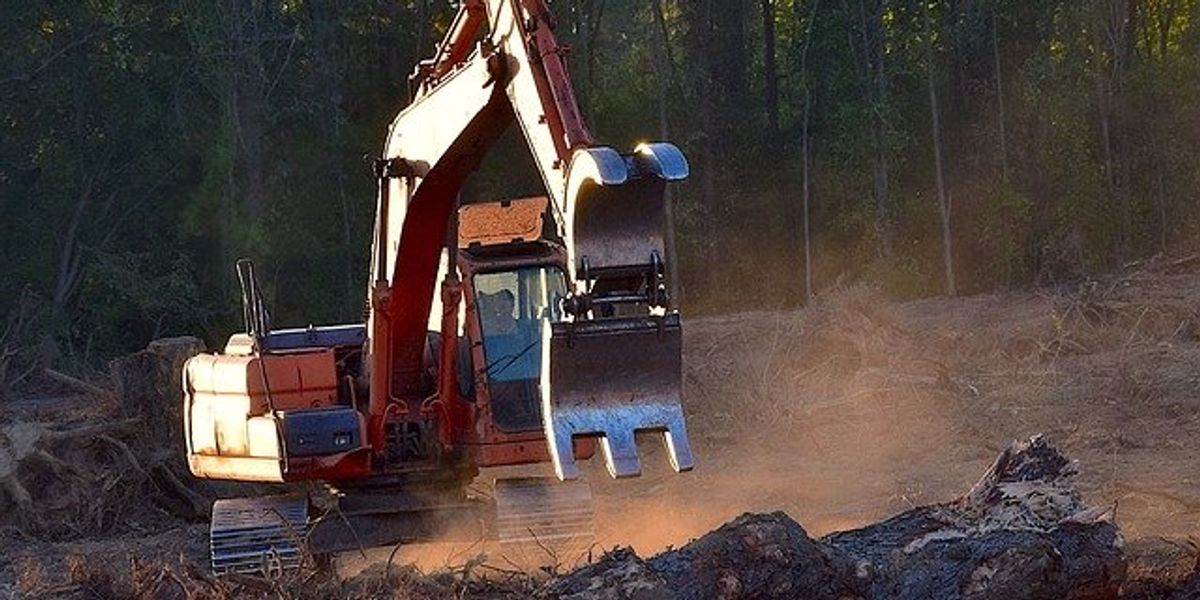 Machinery ripping out trees in a forest.