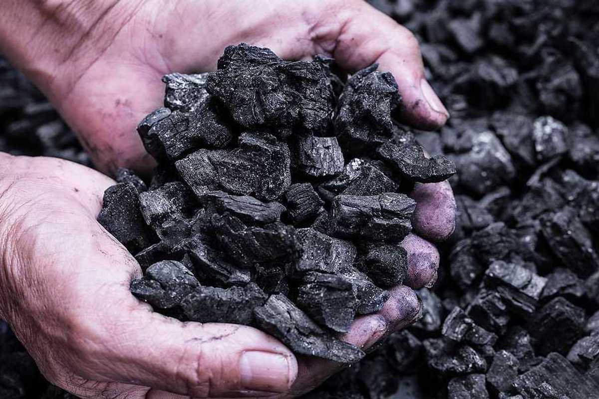 Man's hands holding coal against a background of black coal