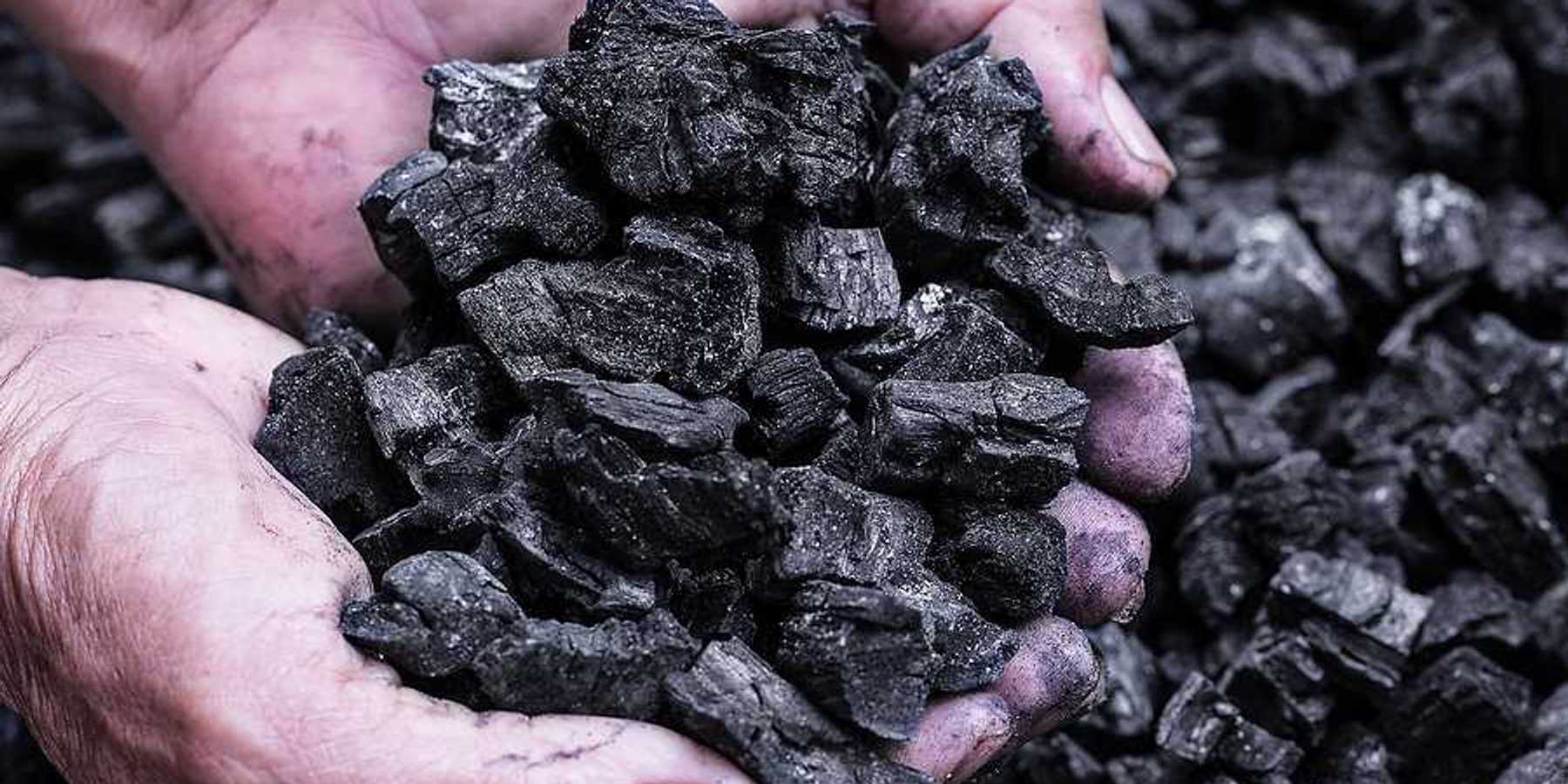 Man's hands holding coal against a background of black coal