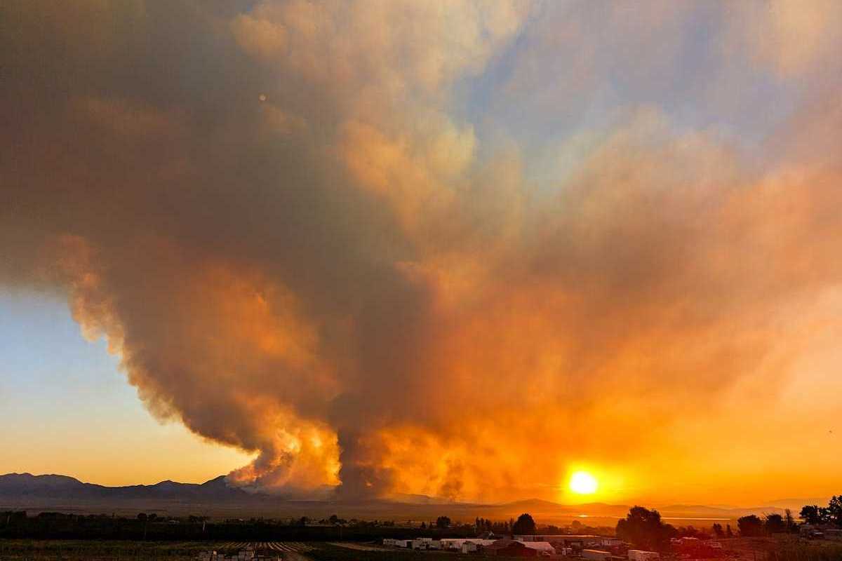 Massive wildfire partially obscuring a setting (or rising sun)