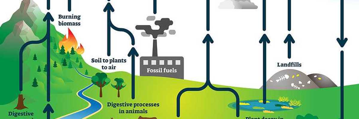 Methane cycle diagram, burning fossil fuels, landfills, plant decay in wetlands, melting permafrost, digestive processes in termites and animals.