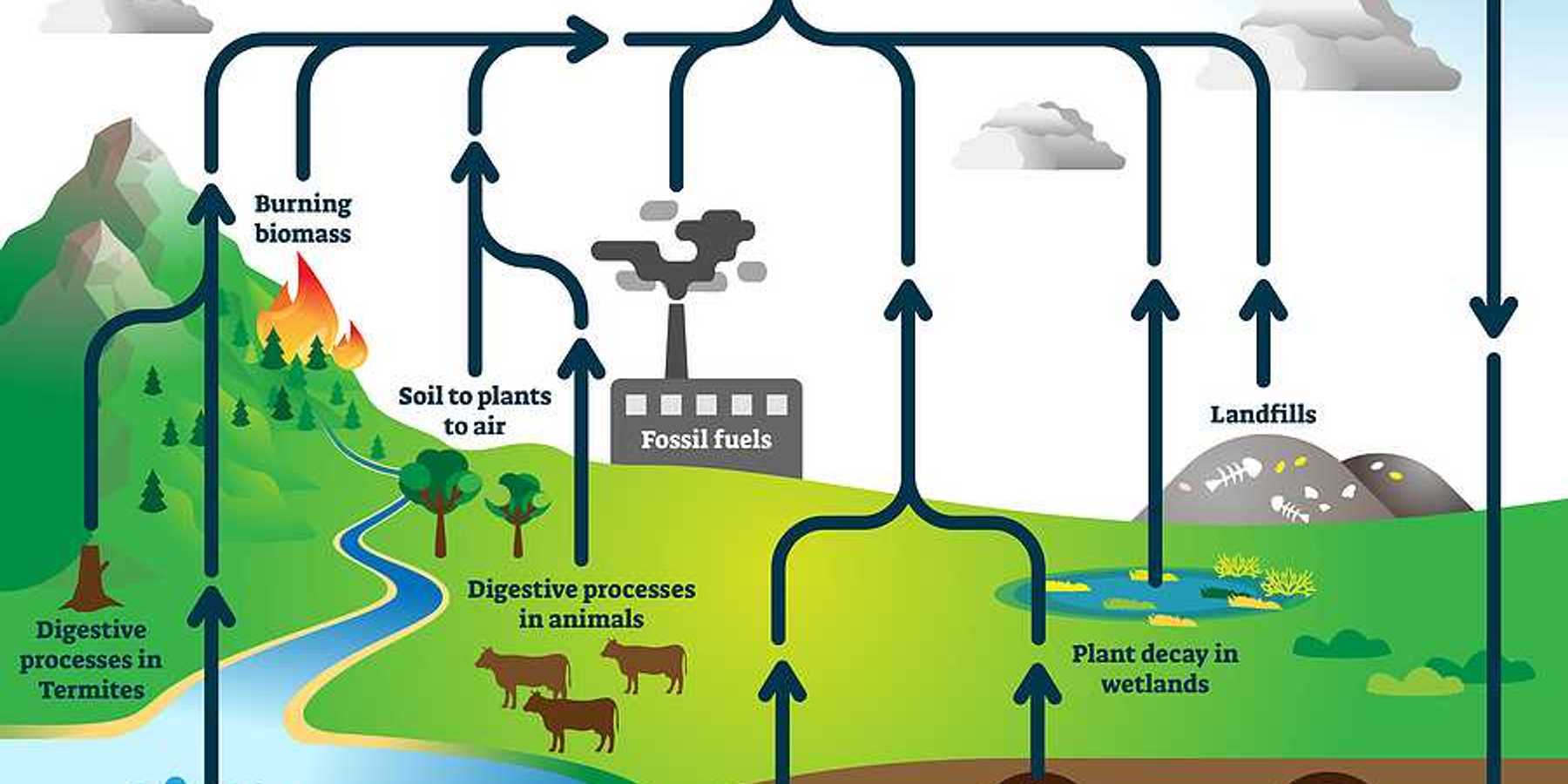 Methane cycle diagram, burning fossil fuels, landfills, plant decay in wetlands, melting permafrost, digestive processes in termites and animals.