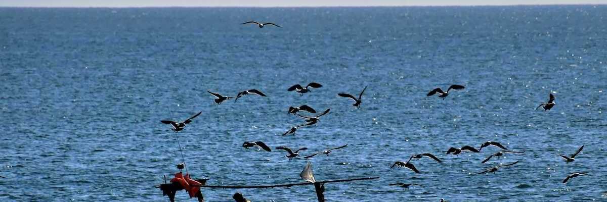 Mexican fishermen in Gulf of Mexico