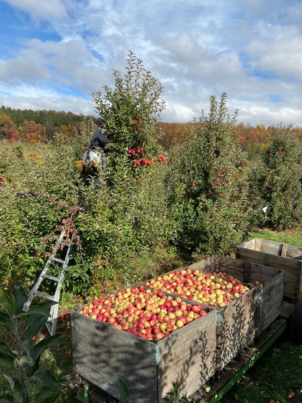 Michigan farmworkers