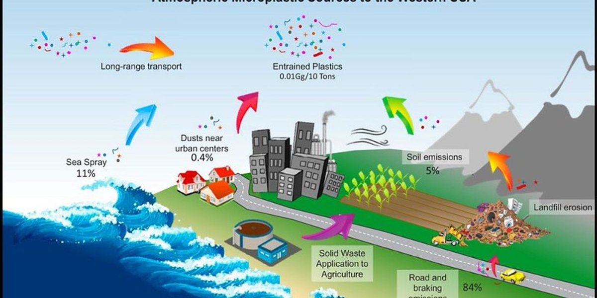 microplastics & global plastic pollution