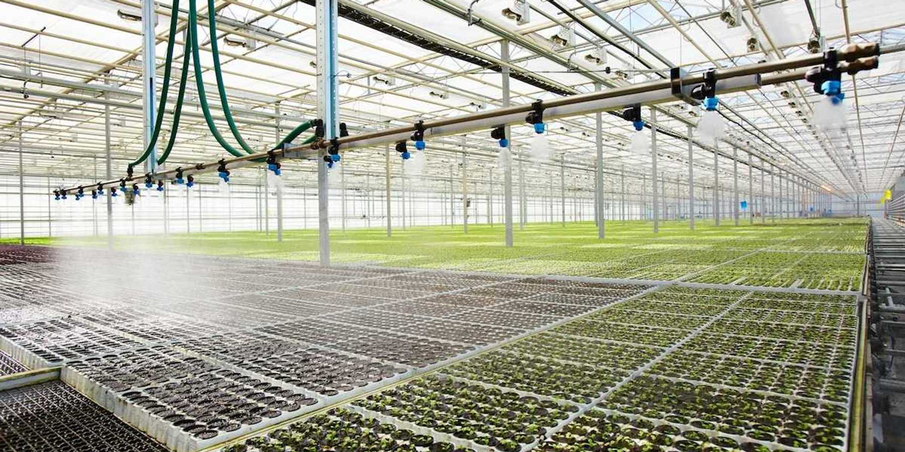 Modern greenhouse with automated overhead watering system