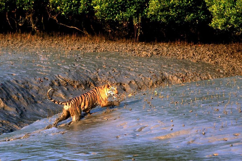 What Nasa satellites say about Bangladesh’s climate