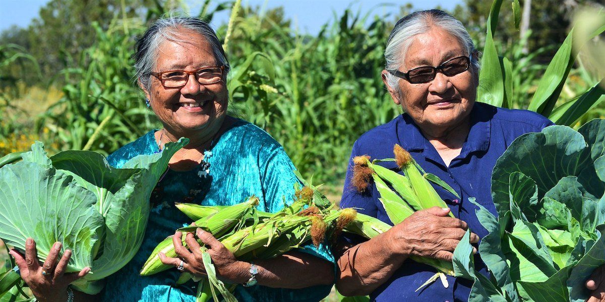 Restoring Navajo land through traditional farming techniques - The ...