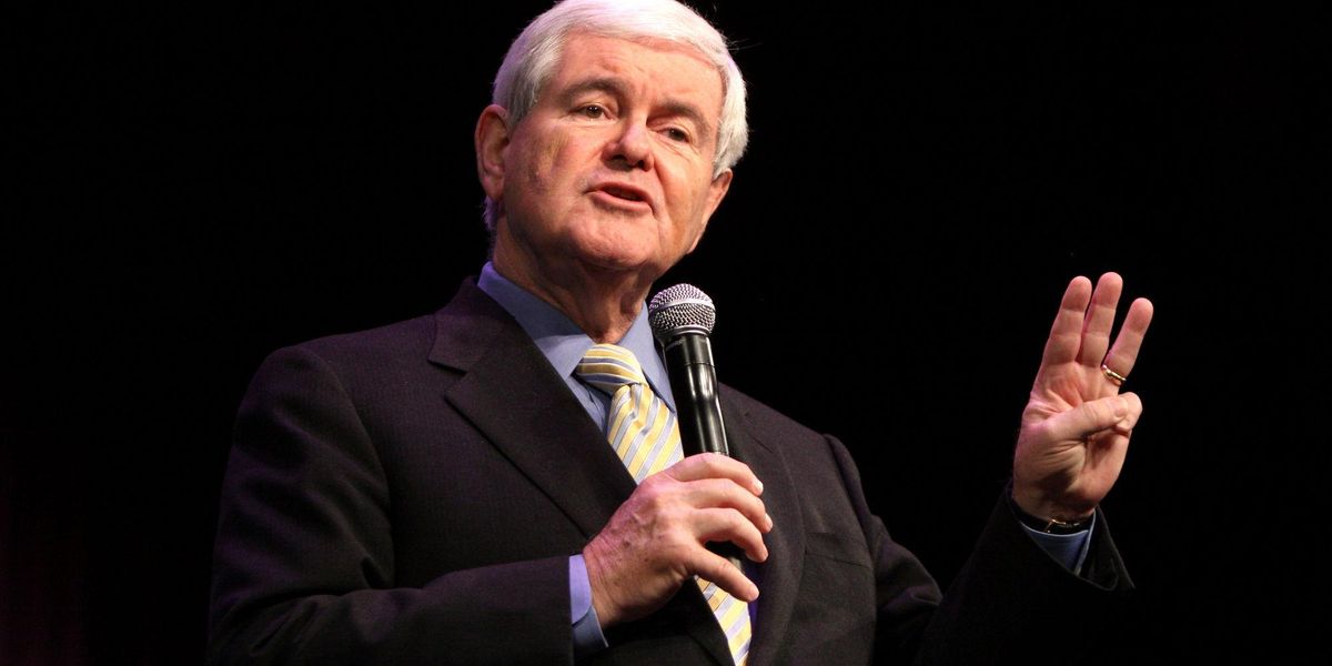 newt gingrich climate change denial 