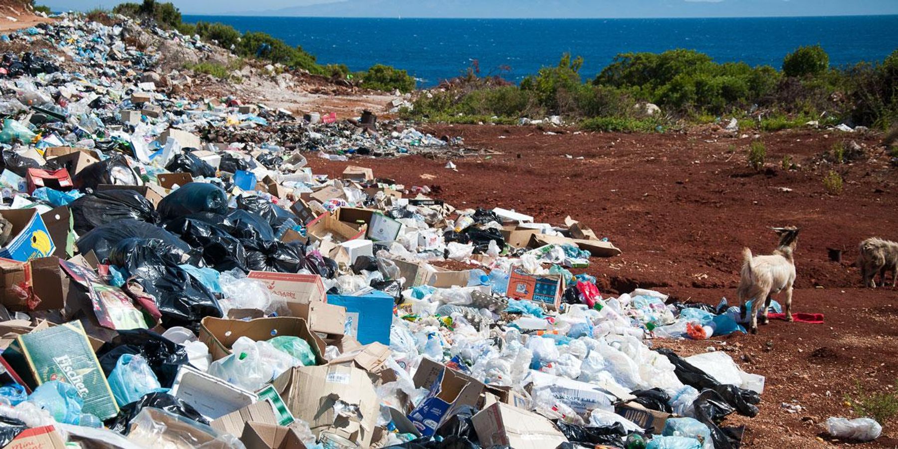 Ocean plastic pollution