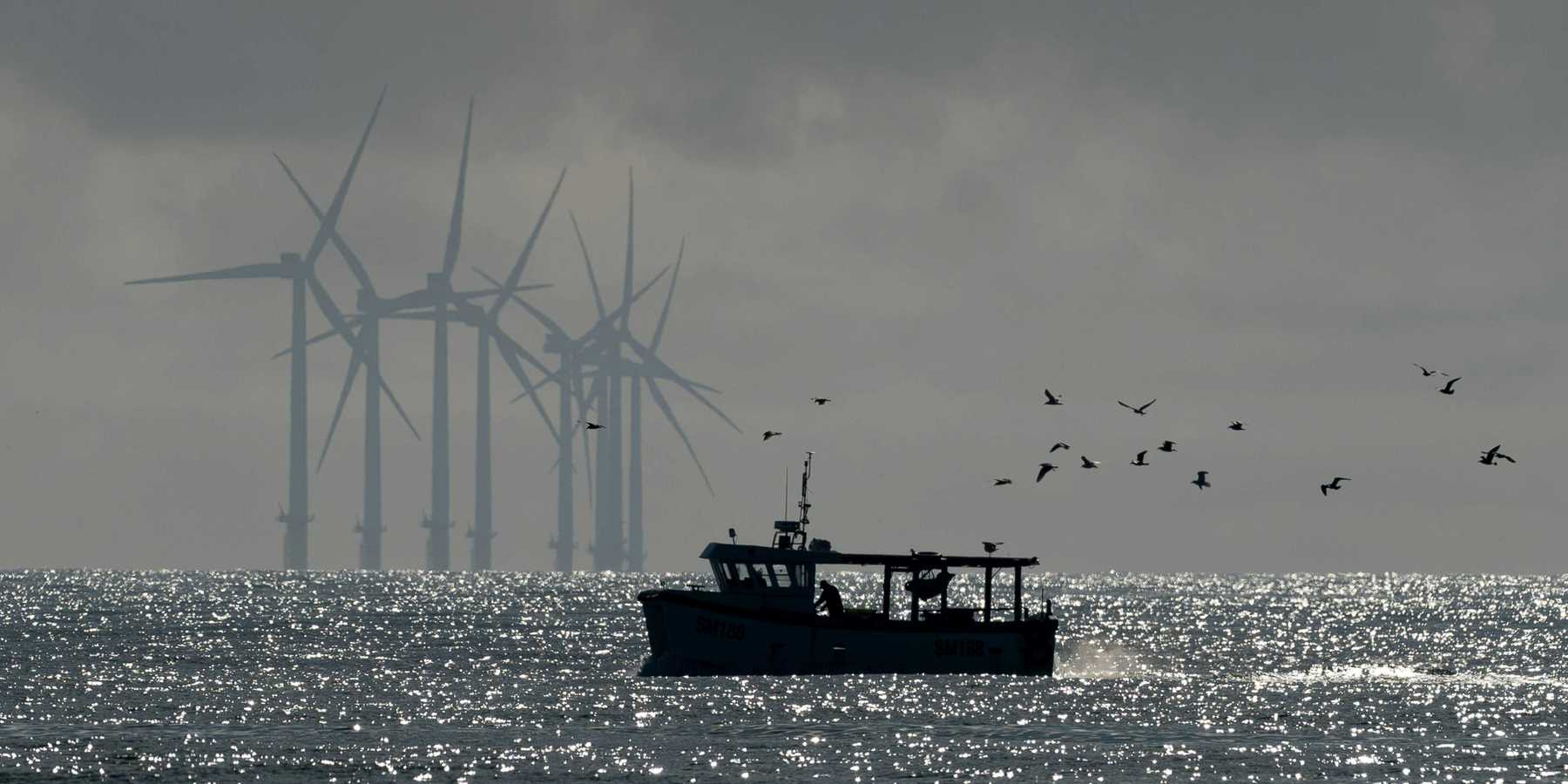 Offshore wind turbines with a fishing boat and birds flying in the foreground.