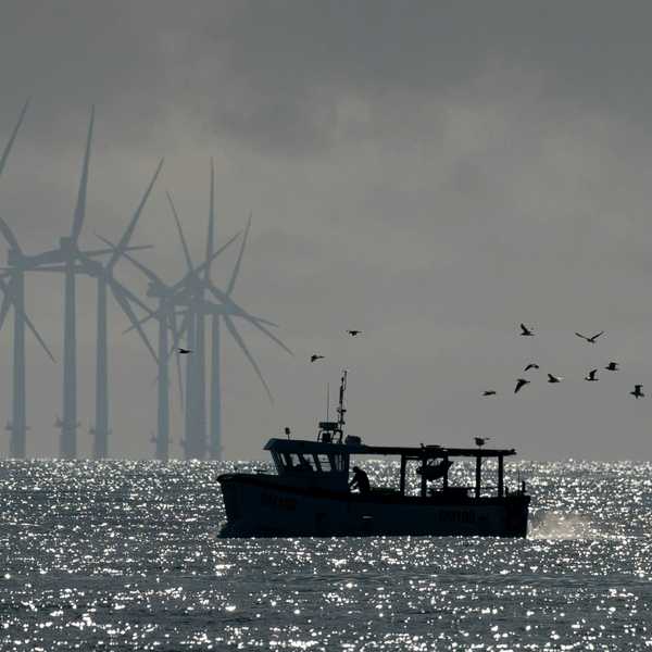 Offshore wind turbines with a fishing boat and birds flying in the foreground.