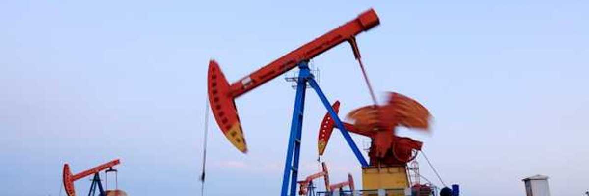 Oil pump jacks drilling for oil in a field
