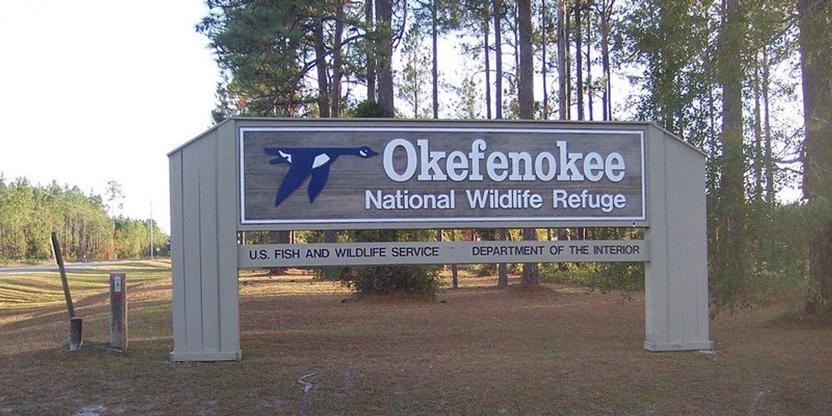 Okefenokee Swamp proposed mining