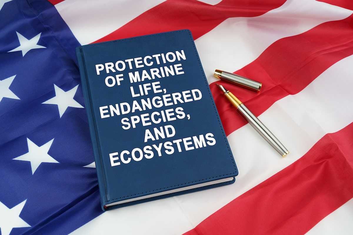 On the US flag lies a pen and a book with the inscription - PROTECTION OF MARINE LIFE, ENDANGERED SPECIES, AND ECOSYSTEMS