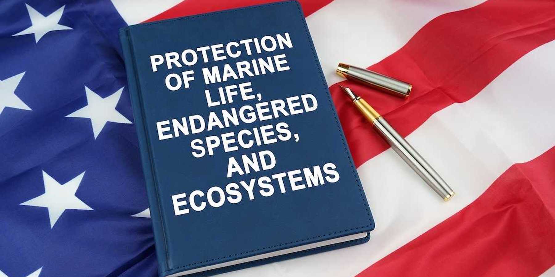 On the US flag lies a pen and a book with the inscription - PROTECTION OF MARINE LIFE, ENDANGERED SPECIES, AND ECOSYSTEMS