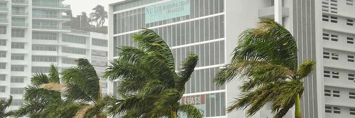 Palm trees in front of tall buildings blowing in hurricane gales
