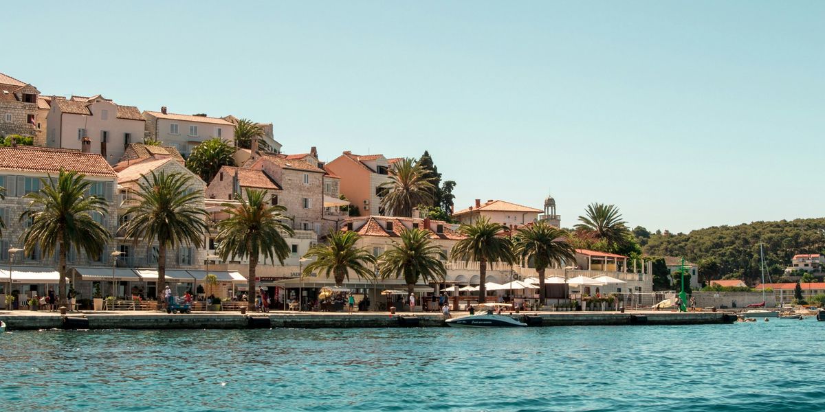 Palm trees lining a dock next to the seaside.