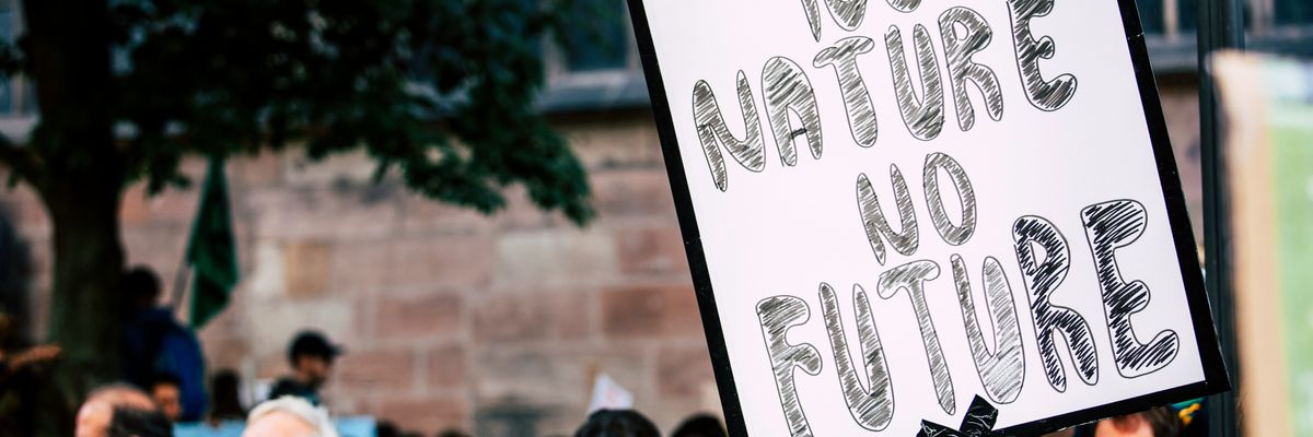 Person holding No Nature No Future signage during a demonstration.