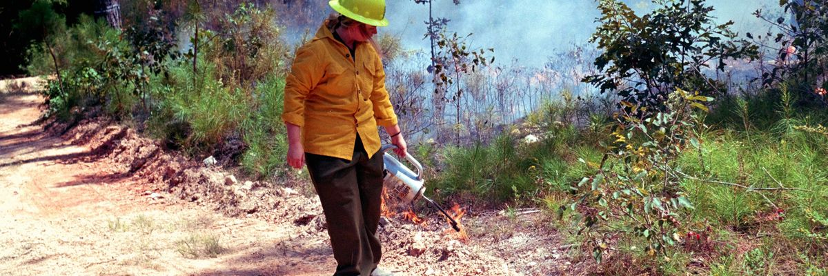 Person in yellow shirt starts controlled forest fire