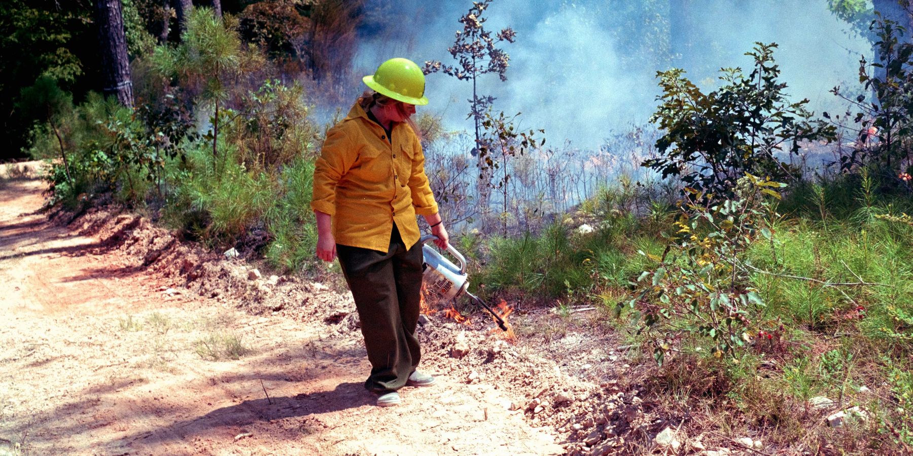Person in yellow shirt starts controlled forest fire