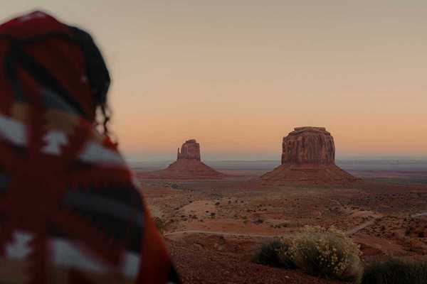 Person, presumably indigenous, facing out at Monument Valley vista.