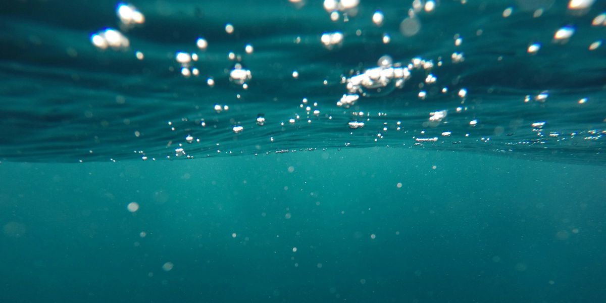 The seas have changed for good, scientists say