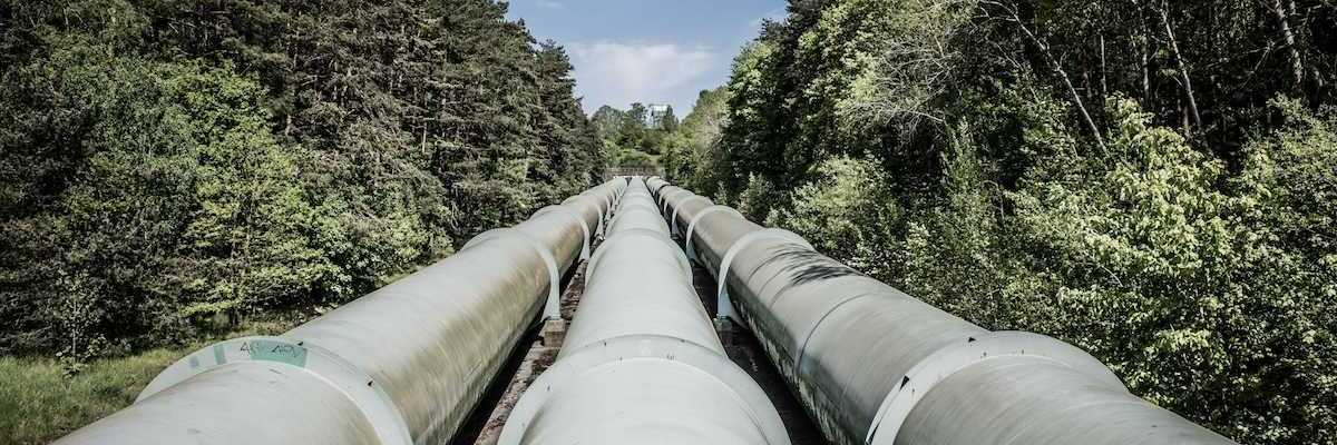 Pipeline comprised of three separate lines stretching through tree-lined forest corridor