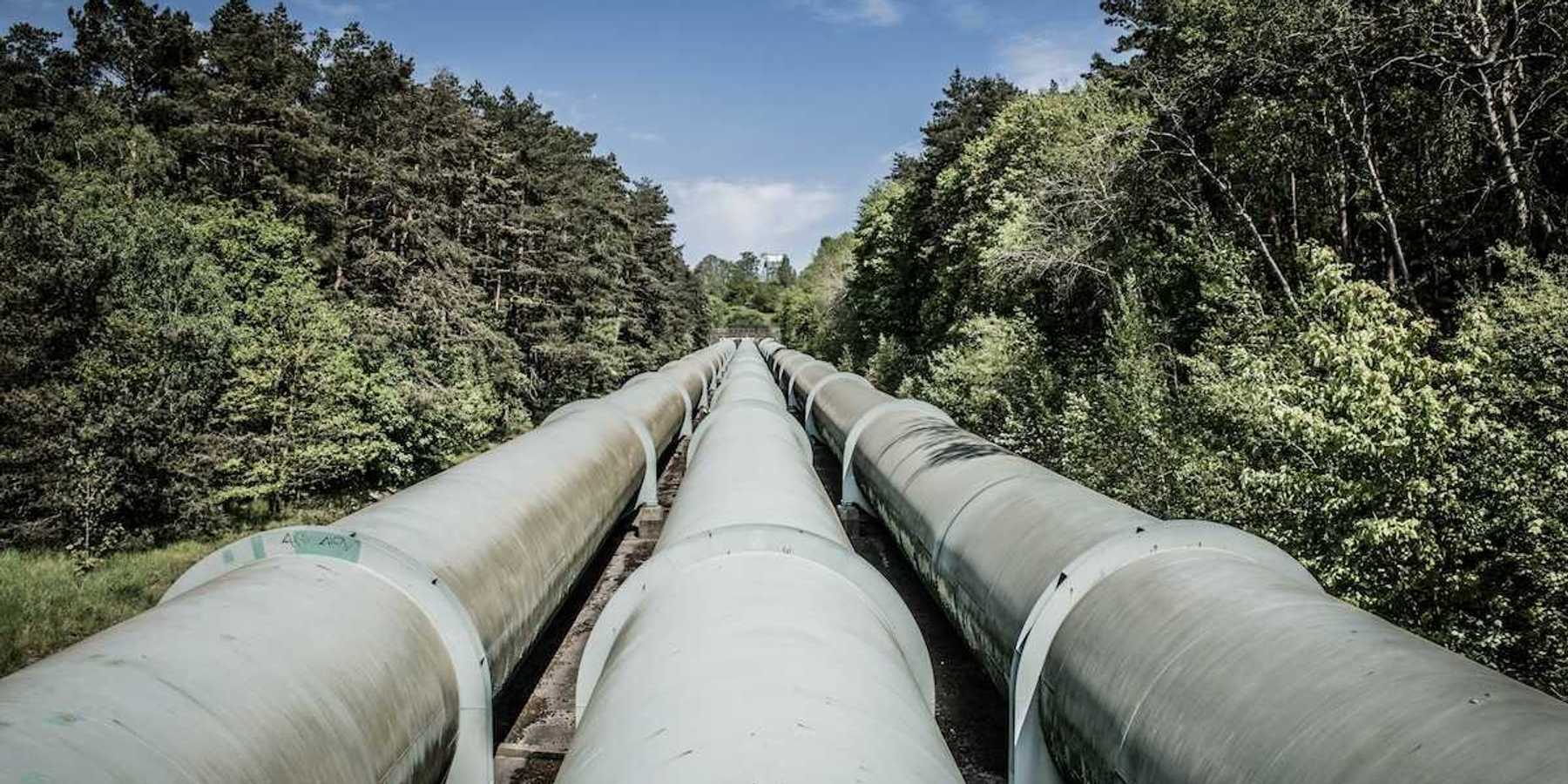 Pipeline comprised of three separate lines stretching through tree-lined forest corridor