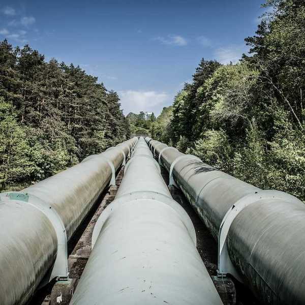 Pipeline comprised of three separate lines stretching through tree-lined forest corridor