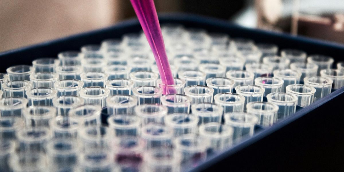 Pipette filling tubes with purple liquid in a lab.