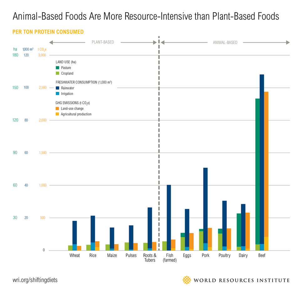 planetary health diet