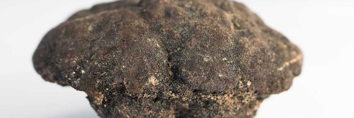 Polymetallic nodules from 5000m depth of Pacific ocean
