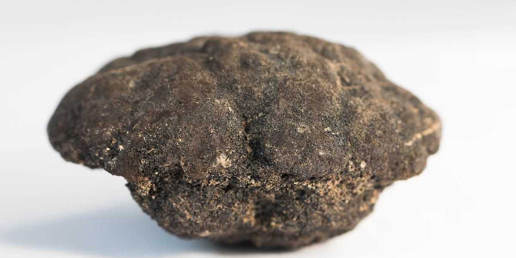 Polymetallic nodules from 5000m depth of Pacific ocean