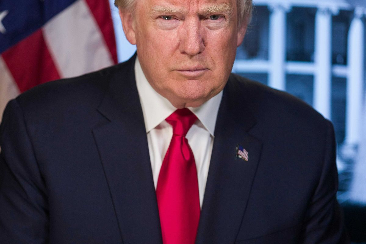 Portrait of President Donald Trump with American flag in background.