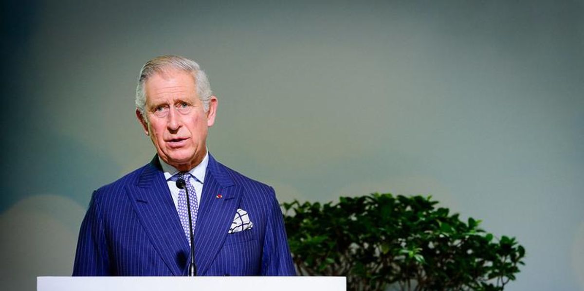 Prince Charles speaking at the 2015 United Nation Climate Change Conference - COP21 (Paris, Le Bourget)