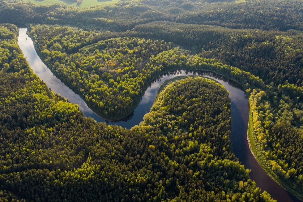 Brazil’s Lula lays out plan to halt Amazon deforestation