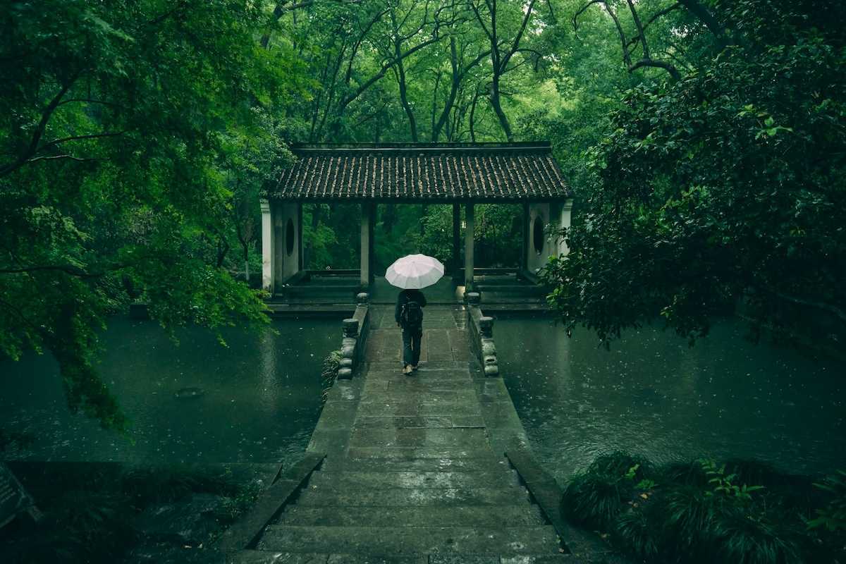 Rear-view of person walking on stone walkway in rain with white umbrella