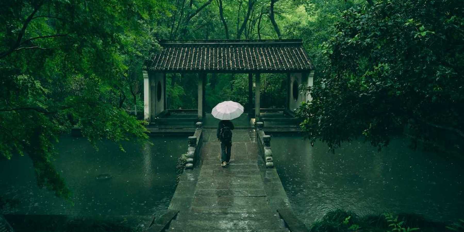 Rear-view of person walking on stone walkway in rain with white umbrella
