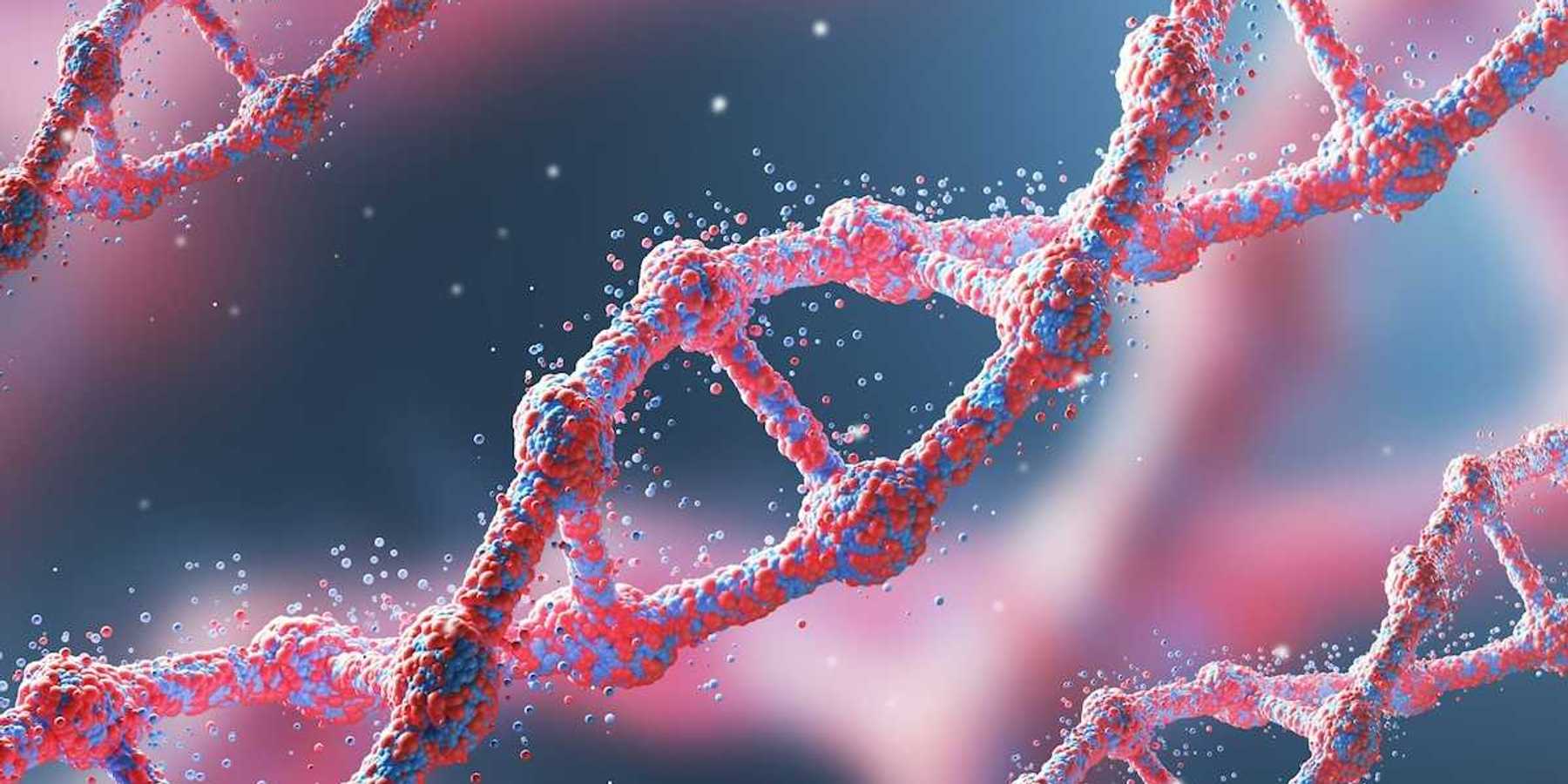 Red and blue DNA strands