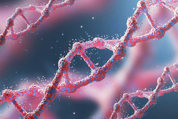 Red and blue DNA strands