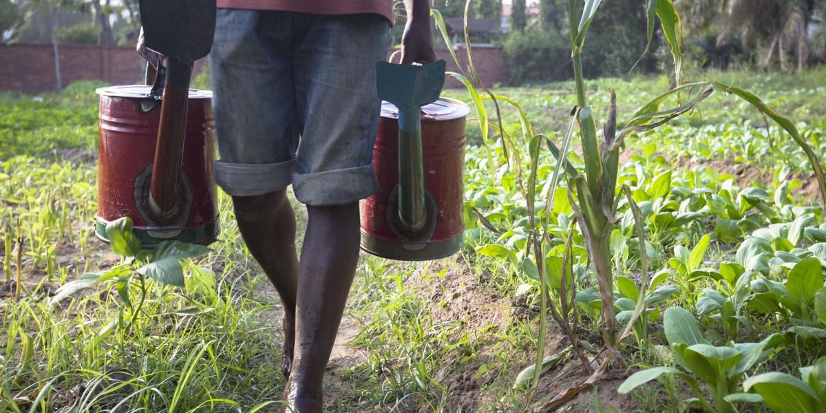 regenerative agriculture