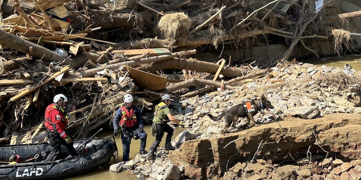 Rescue crews in rubber boats disembark along a storm-ravaged, debris-strewn riverbank under a bridge with a rescue dog.