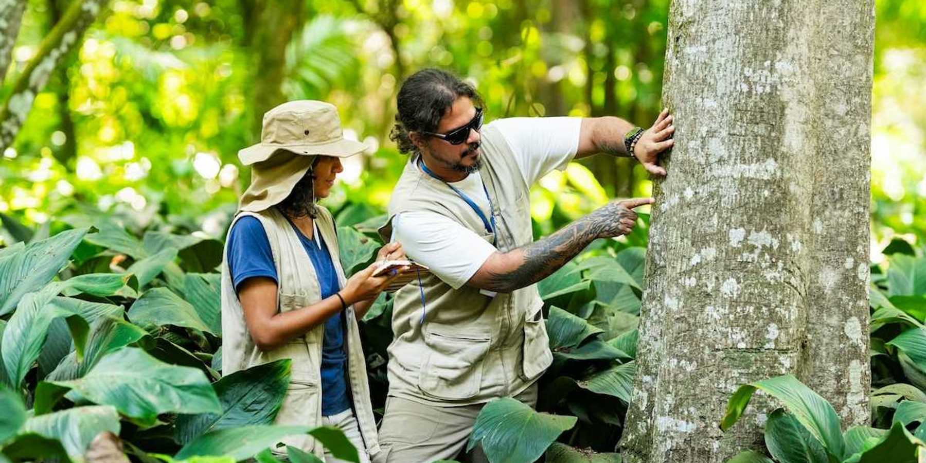 Researchers - one female, one male - studying tree bark in a forest