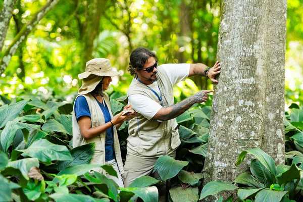 Researchers - one female, one male - studying tree bark in a forest