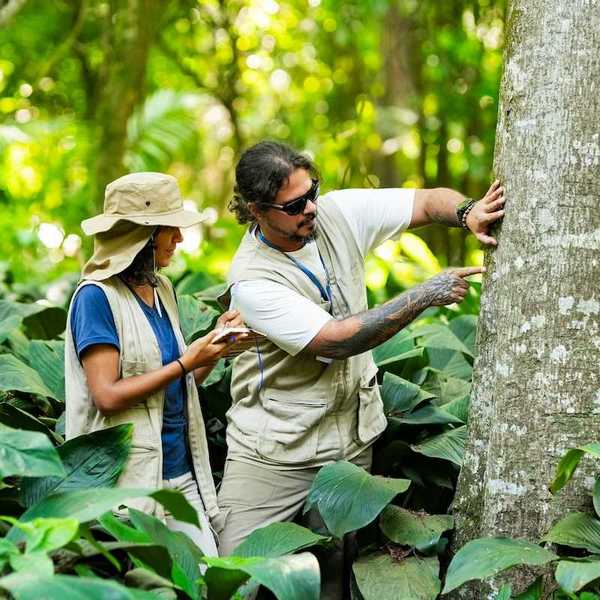 Researchers - one female, one male - studying tree bark in a forest