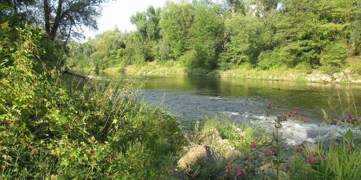 Iowa faces a severe surge in stream contamination due to nitrate buildup